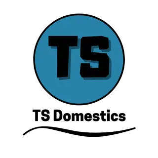 TS Domestics logo